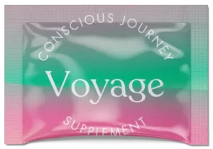 Voyage
